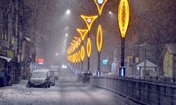 Kars'ta kar yağışı etkili oluyor