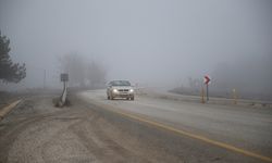 Kastamonu'da sis ulaşımda aksamaya neden oldu