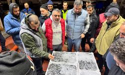 Kocaeli'de balık mezatlarında en yoğun rekabet hamside yaşandı