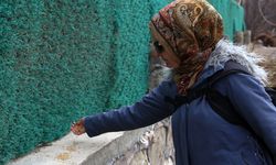 Malatya'da yaban hayvanları için doğaya yem bırakıldı