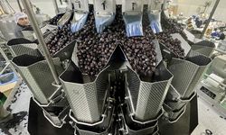 Marmarabirlik zeytinyağı tüketimini 'promosyon' ile artırmayı hedefliyor