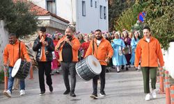 Muğla'da 'Bodrum Mandalin Festivali' düzenlendi
