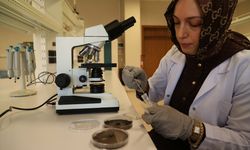 Organik içerikli solüsyon, tarımsal ürünlerin kalitesini artırıp raf ömrünü uzatıyor