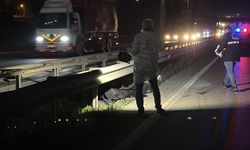 Sakarya'da otomobilin çarptığı yaya öldü