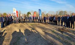 Samsun'da mor patlıcan incirinden sağlanacak gelirle kız öğrencilere burs verilecek