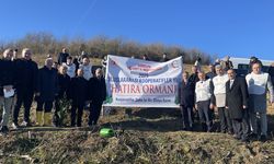 Samsun'da 'Uluslararası Kooperatifler Yılı' kapsamında hatıra ormanı oluşturuldu