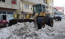 Sarıkamış'ta yoğun yağışla biriken kar, kamyonlarla ilçe dışına taşınıyor