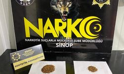 Sinop'ta uyuşturucu operasyonunda 6 kişi yakalandı
