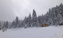 Sinop'un yüksek kesimleri beyaza büründü