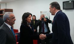 TİP heyeti, DEM Parti heyetiyle görüştü
