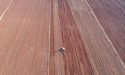 Toprak ile su kaybı, gıdayı ve geleceği doğrudan tehdit ediyor