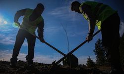 Uludağ eteklerinde oluşturulan bal ormanı arıcıları bekliyor