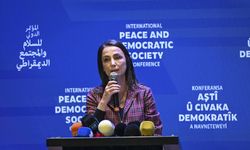 Uluslararası Barış ve Demokratik Toplum Konferansı İstanbul'da yapıldı
