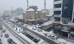 Van, Hakkari, Bitlis ve Muş'ta kar nedeniyle 423 yerleşim yerine ulaşım sağlanamıyor