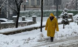 Van ve Bitlis'te kar yağışı etkili oldu