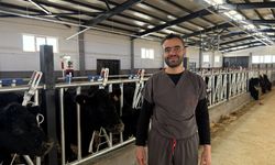 Yozgat'ta devlet desteğinden yararlanan üreticiye 26 damızlık gebe düve verildi