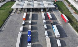 Yunanistan'daki çiftçi eylemi nedeniyle İpsala'dan geçemeyen tır şoförleri Kapıkule ve Hamzabeyli'ye yöneldi