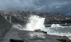Zonguldak ve Düzce'de kuvvetli rüzgar hayatı olumsuz etkiledi