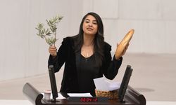 2024 Yılı Merkezi Yönetim Kesin Hesap Kanunu Teklifi, Genel Kurul'da (2)