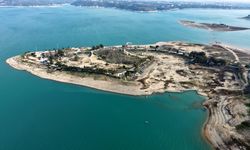 Adana'da adadaki kaçak işletmelerin yıkımı için işlem başlatıldı, bazı kişiler direnip iş yerlerini yaktı / Ek fotoğraflar