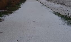 Adana'da dolu yağışı; narenciye bahçeleri zarar gördü