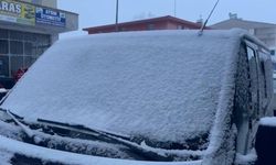 Ağrı'da kar yağışı