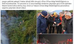 Artvin'deki örtü yangını kontrol altına alındı
