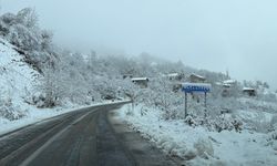 Bartın'da kar yağışı nedeniyle 5 köy yolu ulaşıma kapandı
