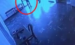 Belediyeye ait tesiste kediye tekmeli müdahale kamerada