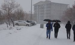 Bitlis'te kar yağışı; 180 köy yolu ulaşıma kapandı