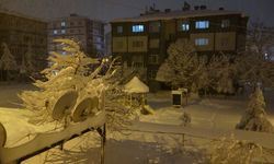 Bitlis'te yoğun kar yağışı nedeniyle bazı yollar ağır vasıta trafiğine kapatıldı