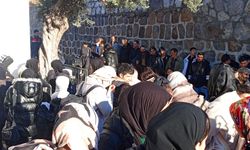 Bodrum'da 82 kaçak göçmen yakalandı