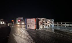 Bursa'da devrilen kamyonun şoförü yaralandı