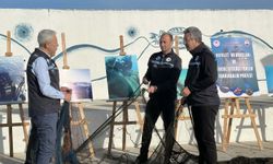 Çanakkale Boğazı'nda hayalet ağ temizliği yapıldı