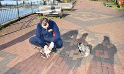 Çaya düşen yavru kedi, itfaiye tarafından kurtarıldı