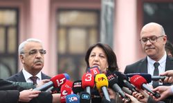 DEM Parti İmralı heyetinden, Bakan Tunç'a ziyaret