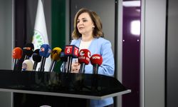 DEM Parti'li Doğan: Silah bırakan herkes düzenleme kapsamına girmeli