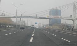 Diyarbakır'da sis ulaşımı olumsuz etkiledi