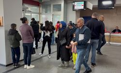 Doç. Dr. Doğan: Kanıtlanmamış bitkisel ürün kullanımı böbrek ve karaciğer yetmezliğini tetikleyebilir