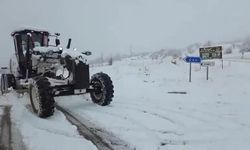 Elazığ'da 103 köy yolu kardan ulaşıma kapandı (2)