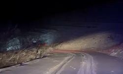 Hasta taşıyan ambulans yoldan çıktı; kamyonet sürücüsü kurtardı