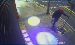 İstanbul - Kağıthane'de sinirlenip direkleri tekmeledi; ağaçlara zarar verdi