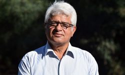 İstilacı istiridye ve midyeler, yerli deniz kestanelerinin yerini aldı