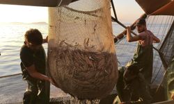 Karadeniz'deki av baskısı hamsi popülasyonunu göçe zorladı