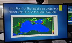 'Karadeniz'in su seviyesi 32 yılda 10 santim yükseldi'