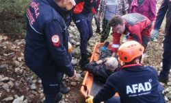 Kayalıklardan düşüp mahsur kalan çoban, kurtarıldı