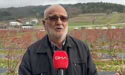 Kentten kırsala dönüp yaban mersini yetiştiren kadınlar, hemcinslerinin de bütçelerine katkı sağlıyor