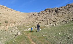 Küresel ısınmaya karşı 2 yılda 20 binden fazla tohum ekip, fidan dikti / Ek fotoğraflar