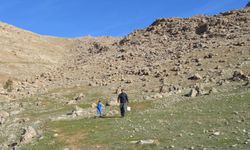 Küresel ısınmaya karşı 2 yılda 20 binden fazla tohum ekip, fidan dikti