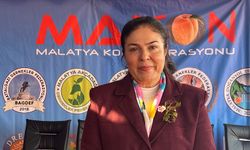 Malatya Memleket Günleri, Maltepe'de kapılarını ziyaretçilerine açtı